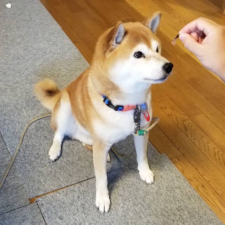 4c127b36 edf5 4ff5 8cf1 932e14327783 1536974744702