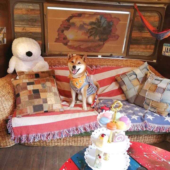 4c12895e d0b5 43d0 819c 6536c97ed929 1648355530538