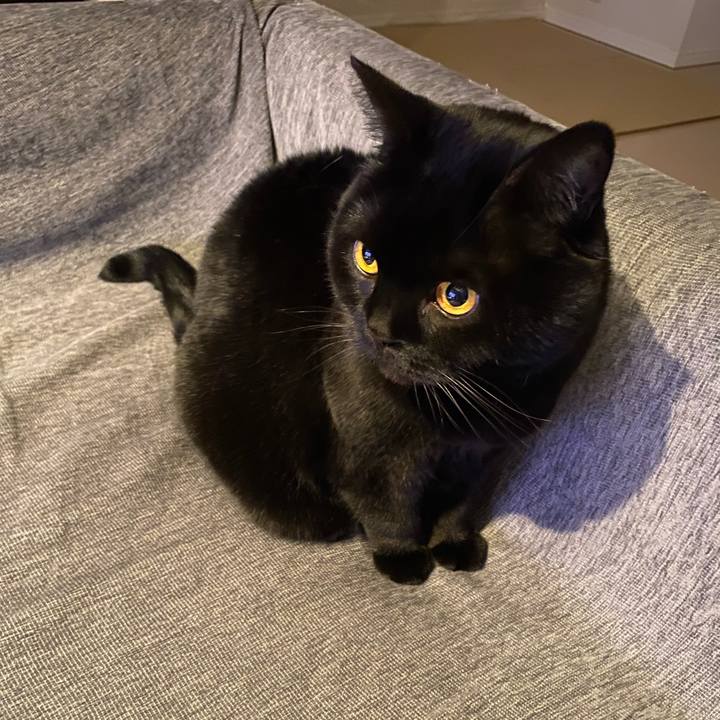 4c128d3f 8118 4776 b015 f8ab35159c74 1741264553840