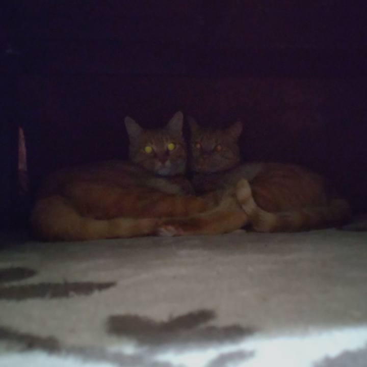 4c12a626 aa73 432c 97f8 66c6ed1915ad 1645357886703