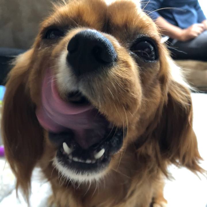 4c12cfd7 68f3 4d11 aaae 96f47bcf9488 1558477624920