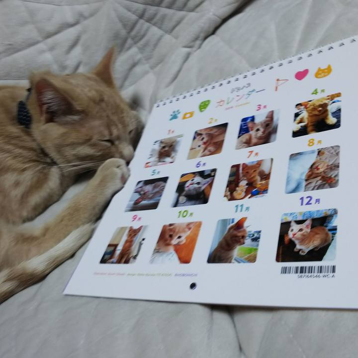 4c12f26e d8b9 413c a457 87c7c71a1450 1546153343565