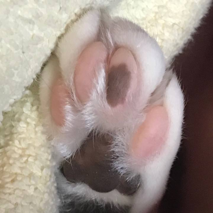 4c131648 7db1 4dad baf7 292719a8da90 1518882451589