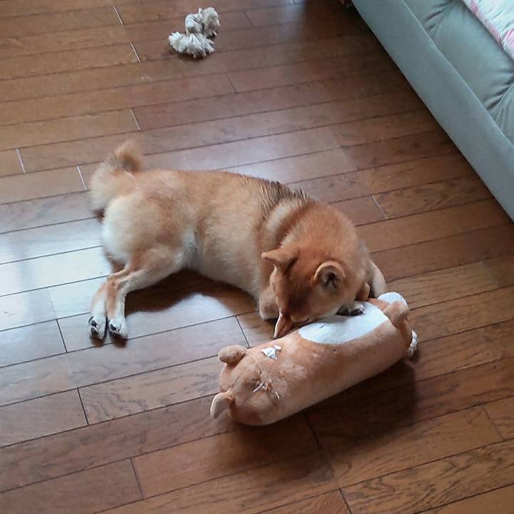 4c132ff9 e1a2 4266 b865 04ba600e0371 1660695880895