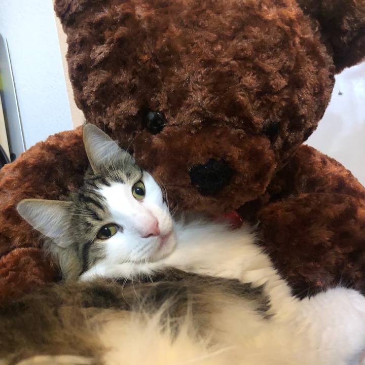 4c1357f4 e4e7 460a 940a ca70c5df908c 1557673221899