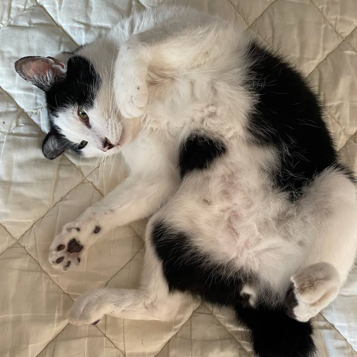 4c138383 a212 48ad b888 51f60953eb25 1655618561214