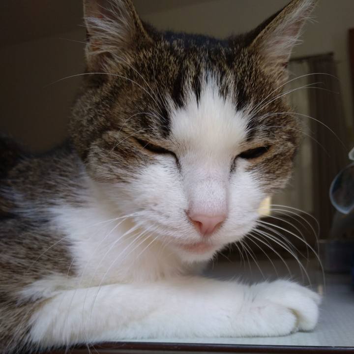 4c13f538 c821 4e3f bbdd 99cab427afb0 1554715865429