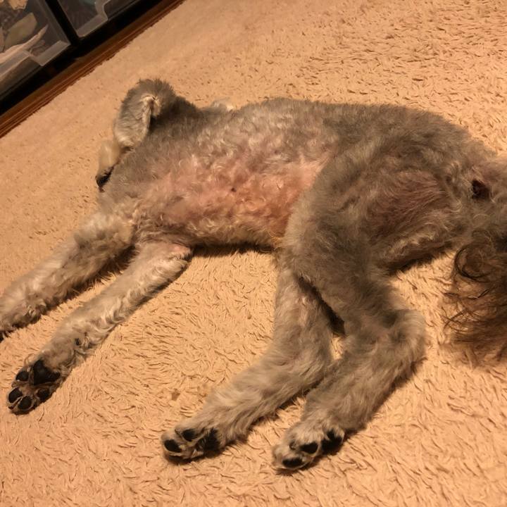 4c13fba9 f05e 4f0d 8c88 6f0b21637683 1604447726508