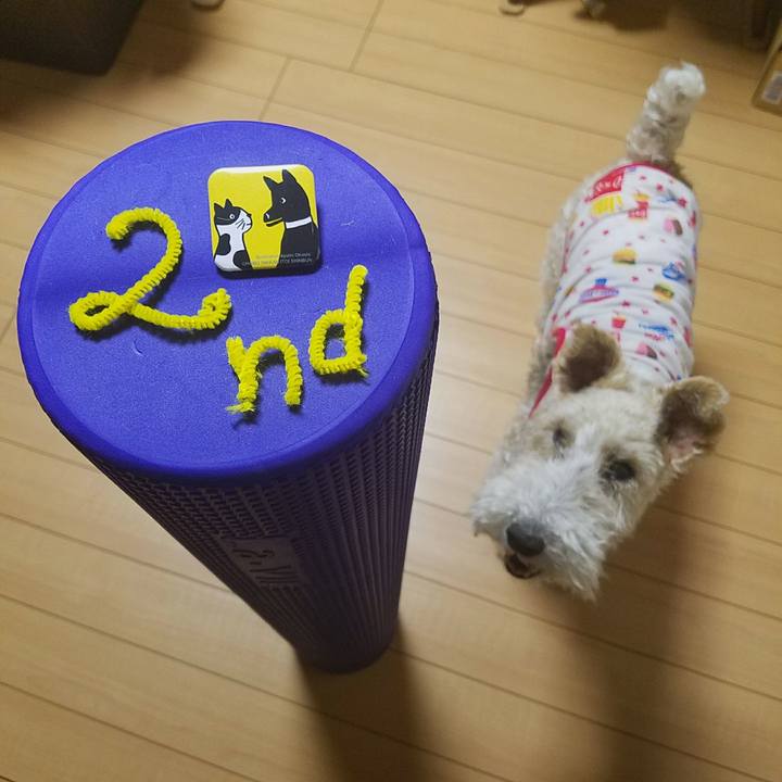 4c13fd2b 5409 4a86 be66 15c44e3066c8 1528122885684