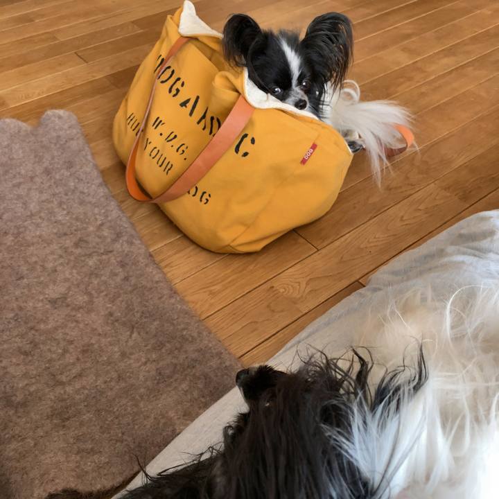 4c141bdf c153 44ec b86c b68a86f18a48 1550362029816