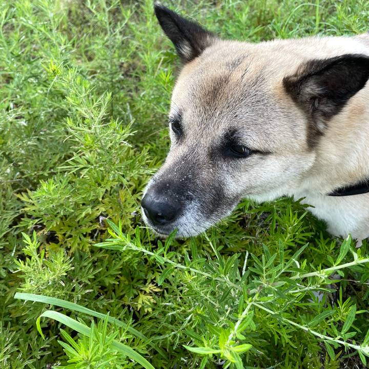 4c14d693 9959 4e9c a05f 2c21732d95ed 1721218587157