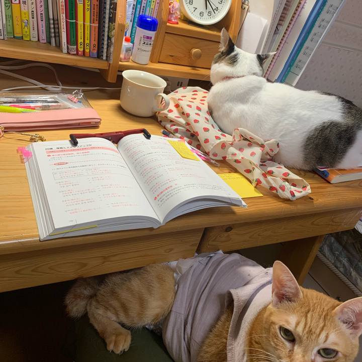 4c14e267 205e 4362 9ba1 0dc78f306ff2 1634934192225