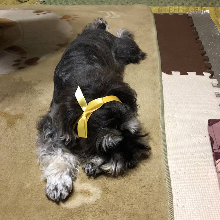 4c14f9c7 fbf8 4234 8ae0 3d659ff5e255 1529323942548