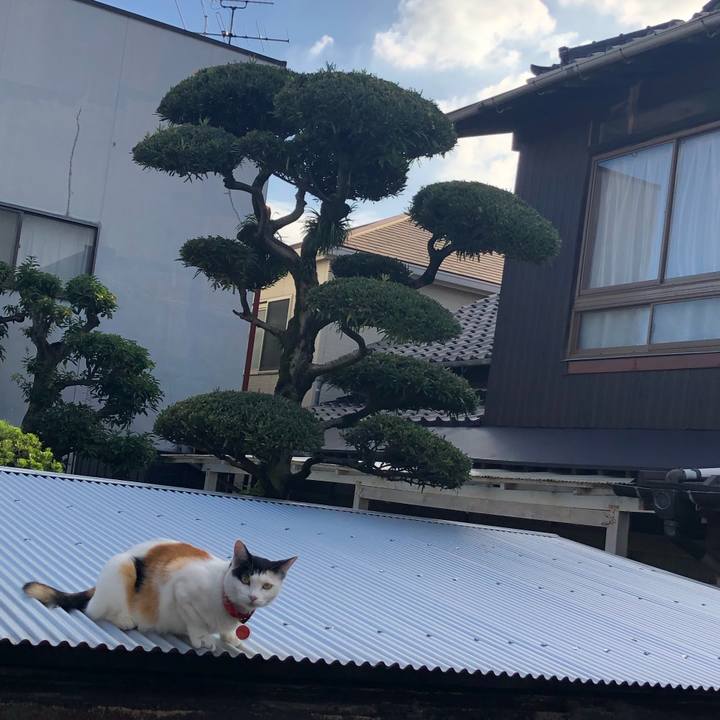 4c150102 9388 4e34 9e84 353414c3302d 1632007857887