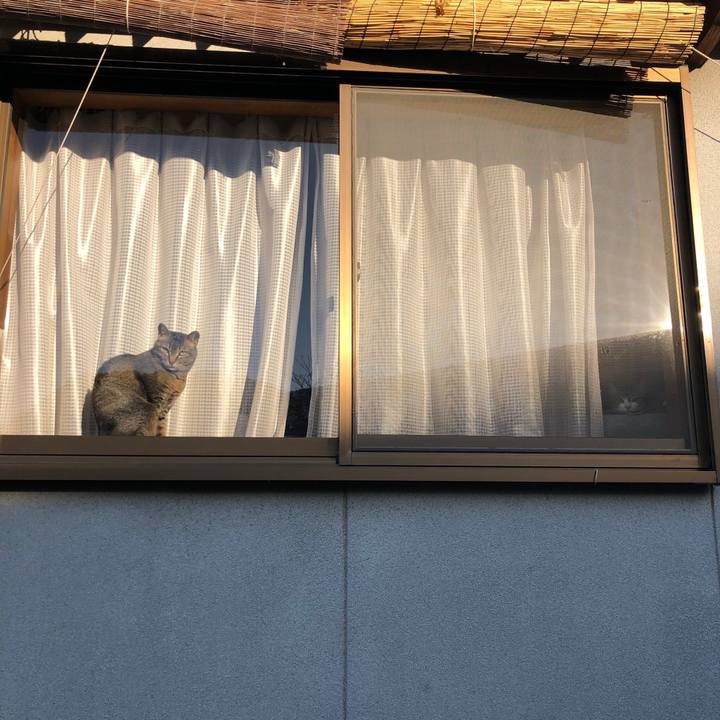 4c150b69 eaf7 4ed6 89d0 6df0c1b9f9d3 1612746417435