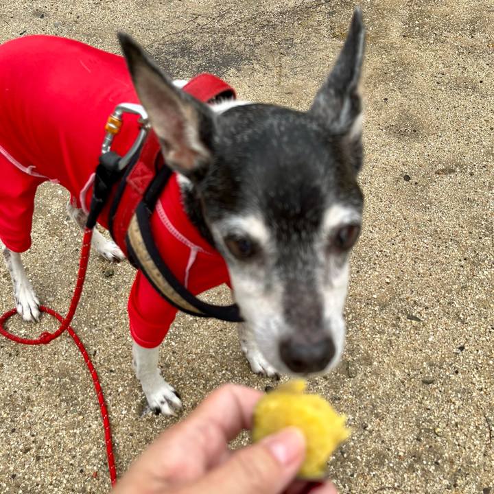 4c1563ce 52fa 4931 af8b 897db4f08ad5 1655849025537