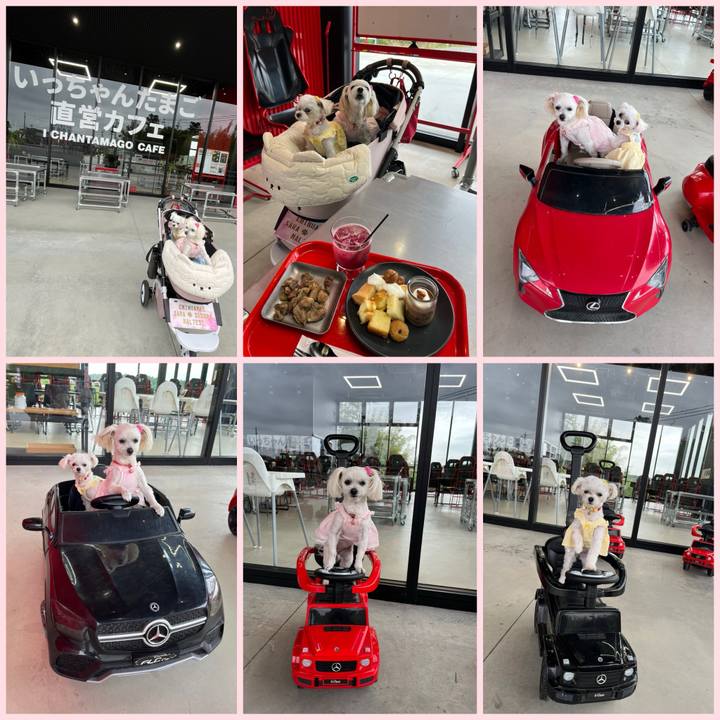 4c15ac9f dc78 4808 a445 9fc02c0ac1b3 1716369503918