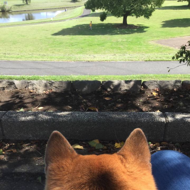 4c15ccd0 a413 41d8 b367 89024cf4ae88 1568964475249