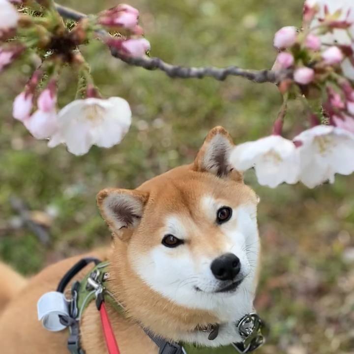 4c15e049 544b 488a a8b3 262ed313a1f4 1648466997141