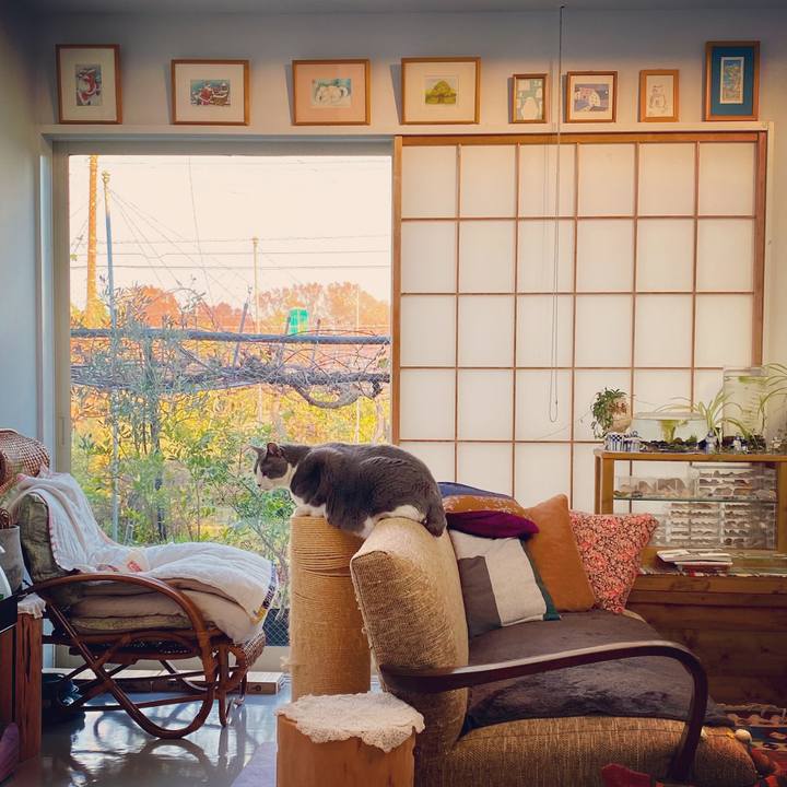 4c16256f ed01 4c5a 90d5 c73acb5d55b5 1575182948880