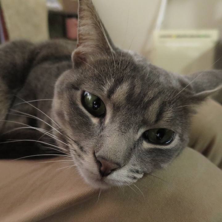 4c162849 77e6 4adf 901e 0096aa9ec00a 1531479777905