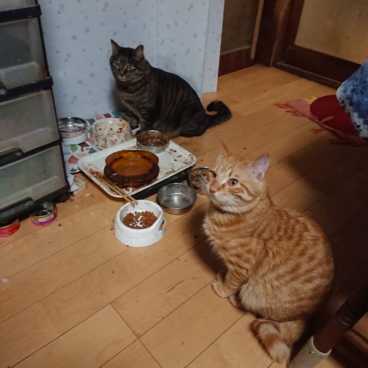 4c1665c4 605c 46f8 a13e 70f7d7af20ed 1644745436160