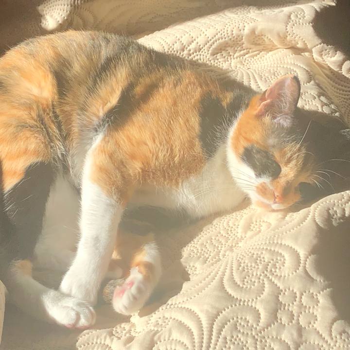 4c166d9f 97cf 4fe9 9bdc 139286a5e684 1573786048797