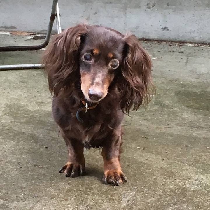 4c169325 6d79 4e76 b12f 1f8351927f1a 1564732888129