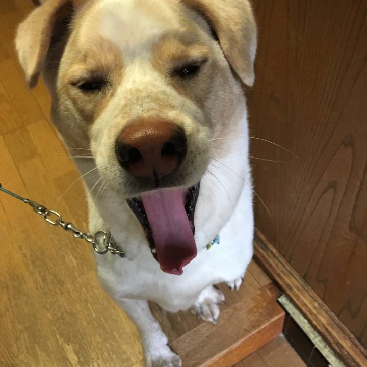 4c16a0f3 889c 4421 a167 c51f64351ee2 1525216187360