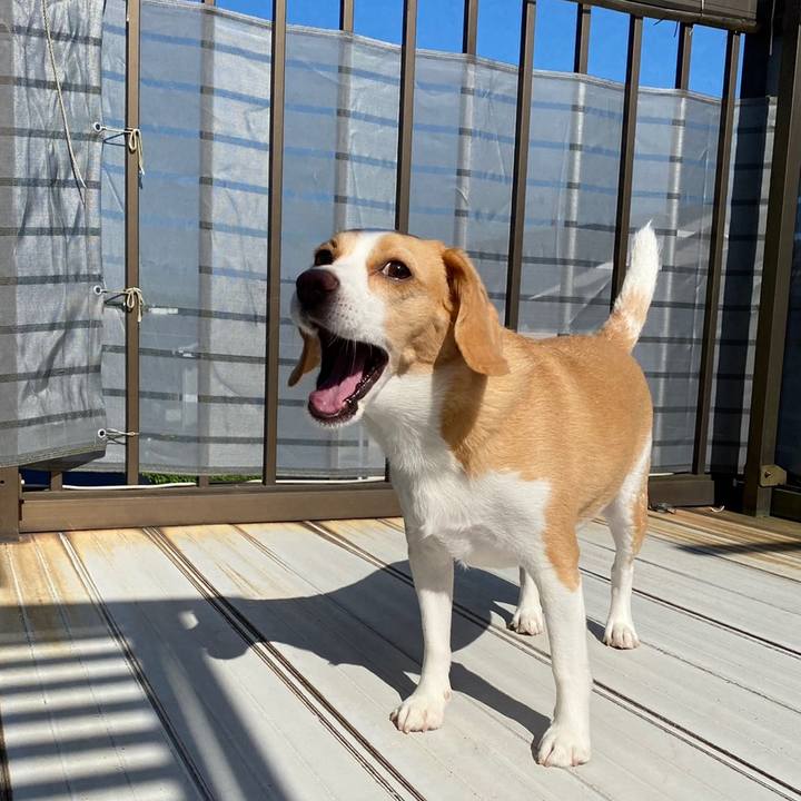 4c16c284 9de3 4822 85a1 c939e34a82d2 1627953349182