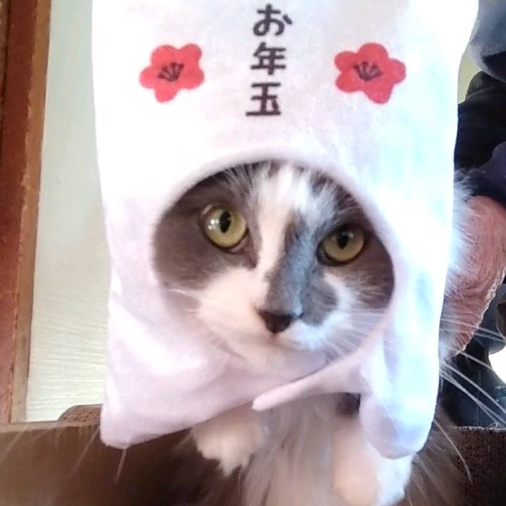 4c16d8c8 5219 4fa6 b403 bacb6d6c198d 1704079383041