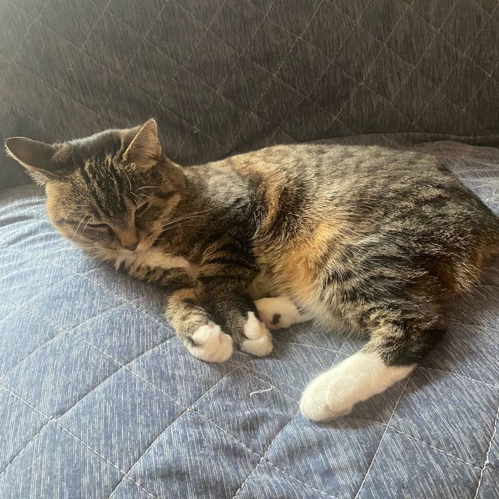 4c16e0b6 b7b8 4111 b6c7 7b4aa8b8546b 1746327134048