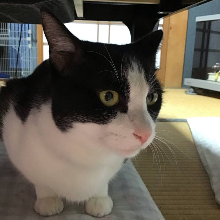 4c170126 43f1 4388 8381 255ccde03918 1691499327797