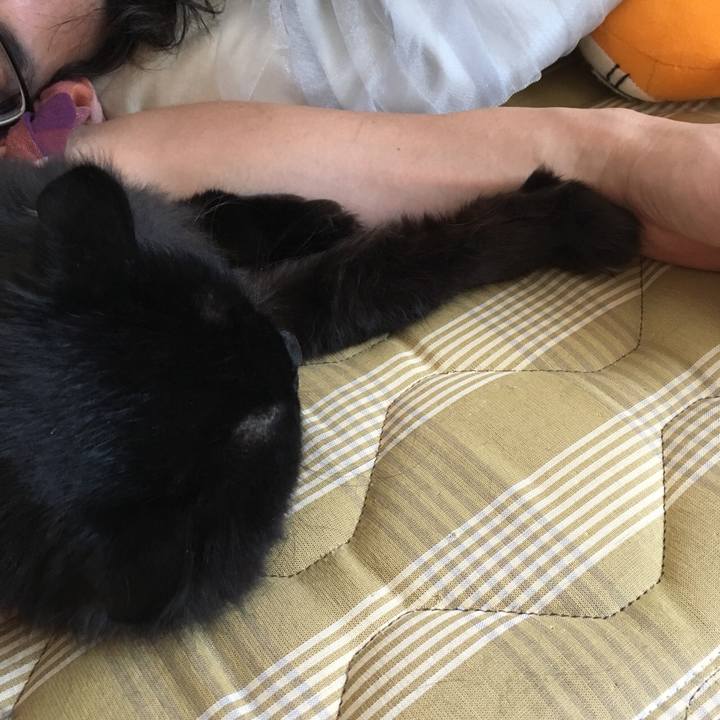 4c1720e4 7210 4268 b4fa 254025a8b434 1557791383937