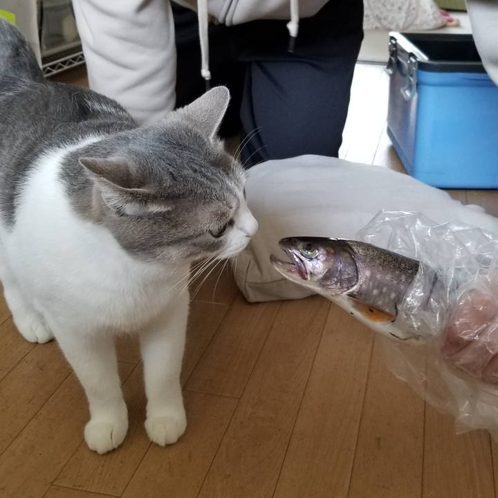 4c17b913 1e39 4418 bcc5 4acabb54ffd9 1651846948257