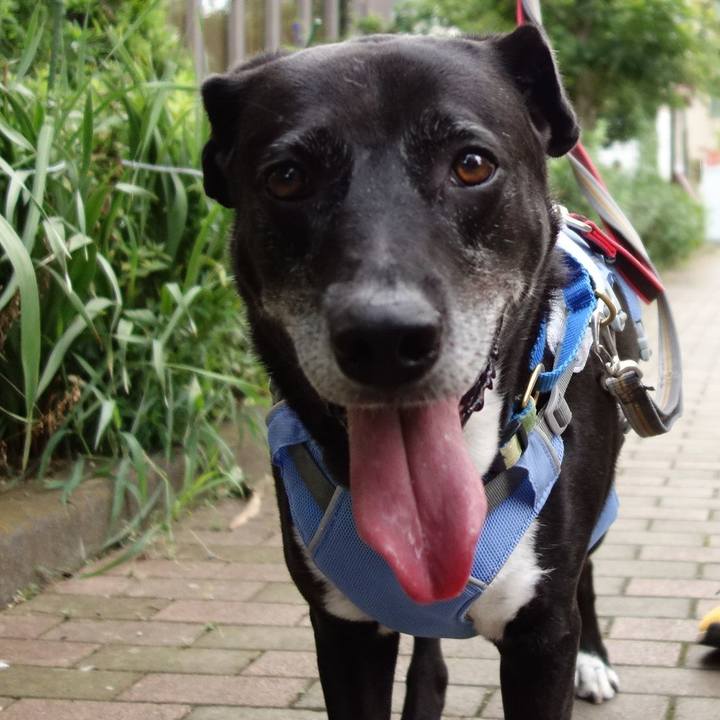 4c17e9ab a077 406e a61d 44e3d63fb2fc 1722643559151