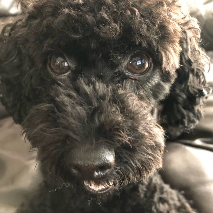 4c181401 0b50 4a3a 8cb4 4eff7fdf3b8d 1539996041060