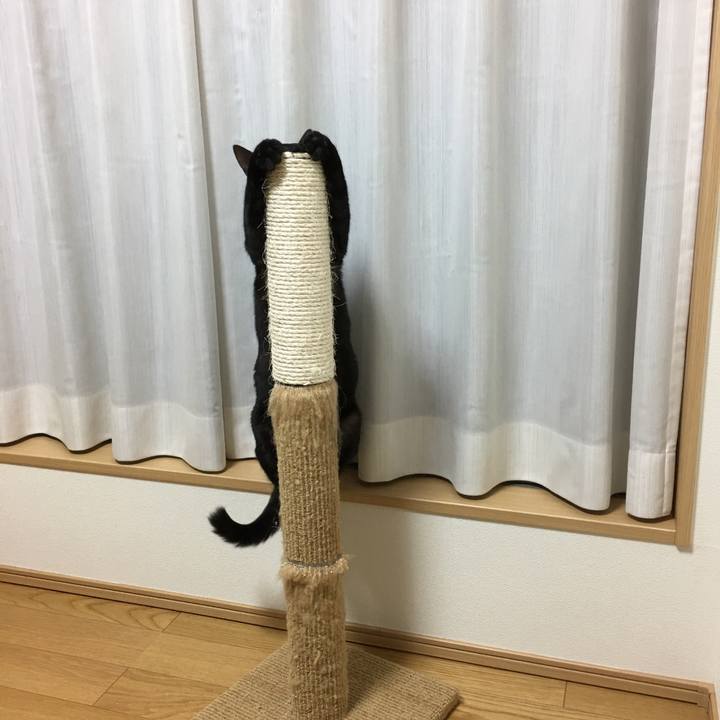 4c181516 ab29 401f b4f8 ef6ae7e06e81 1516376455572