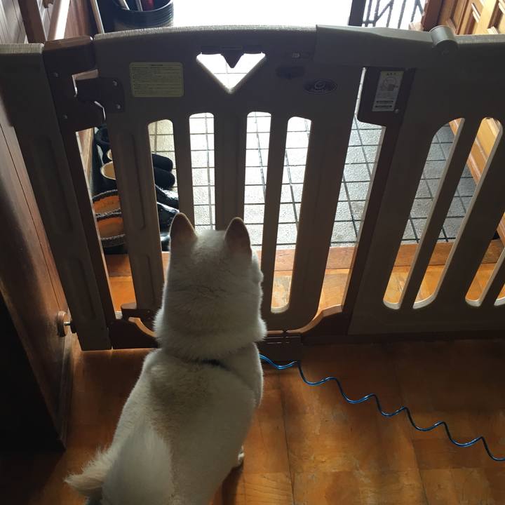 4c186207 6812 4906 8874 a070b469db90 1545618510436