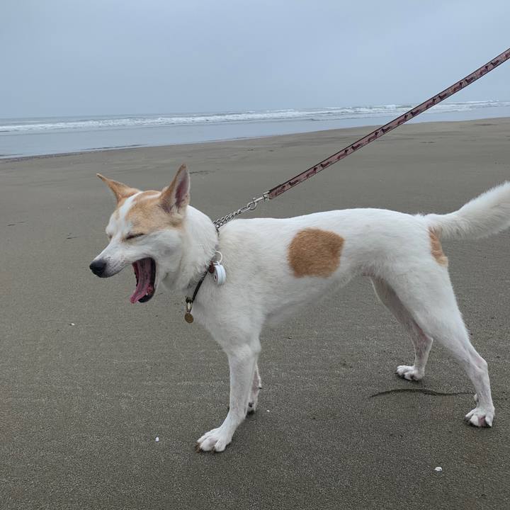 4c187629 f3c0 45dc 9422 337e57118d60 1631587711408