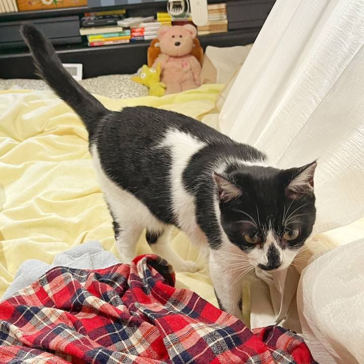 4c1882e7 27d2 4893 88ff 93a71ca2a34f 1751929283893