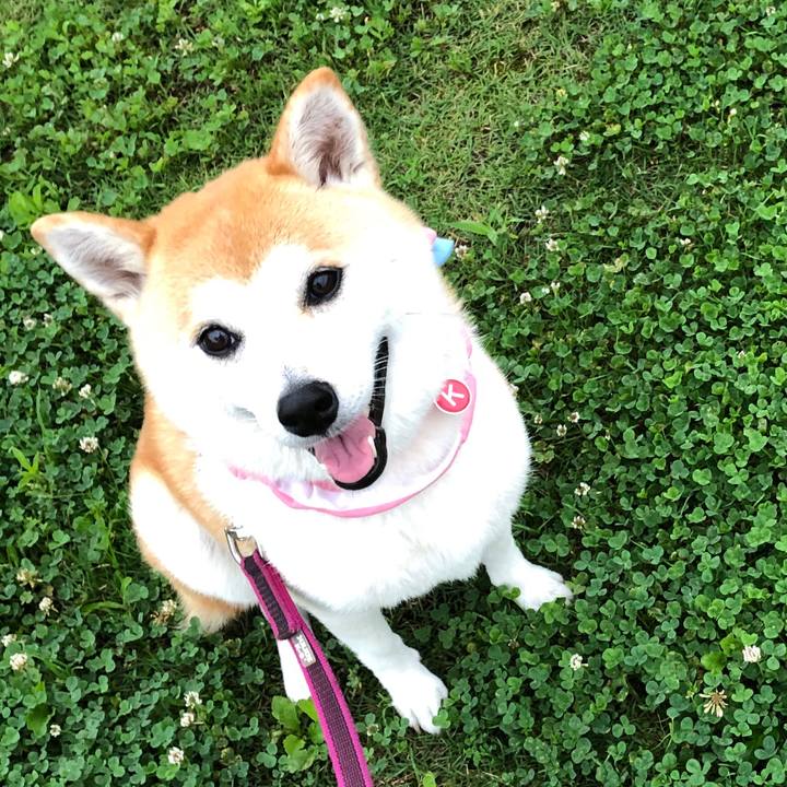 4c1884cf f3c9 4f82 9ce9 e4e93a5c98df 1563753476720