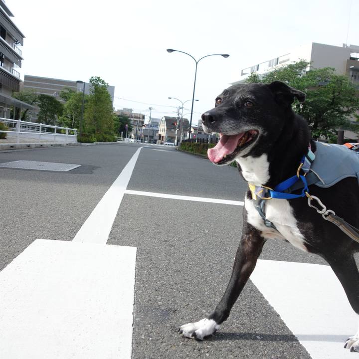 4c188df5 bc18 45d2 ad22 7fce3b4ac6f1 1746927150731