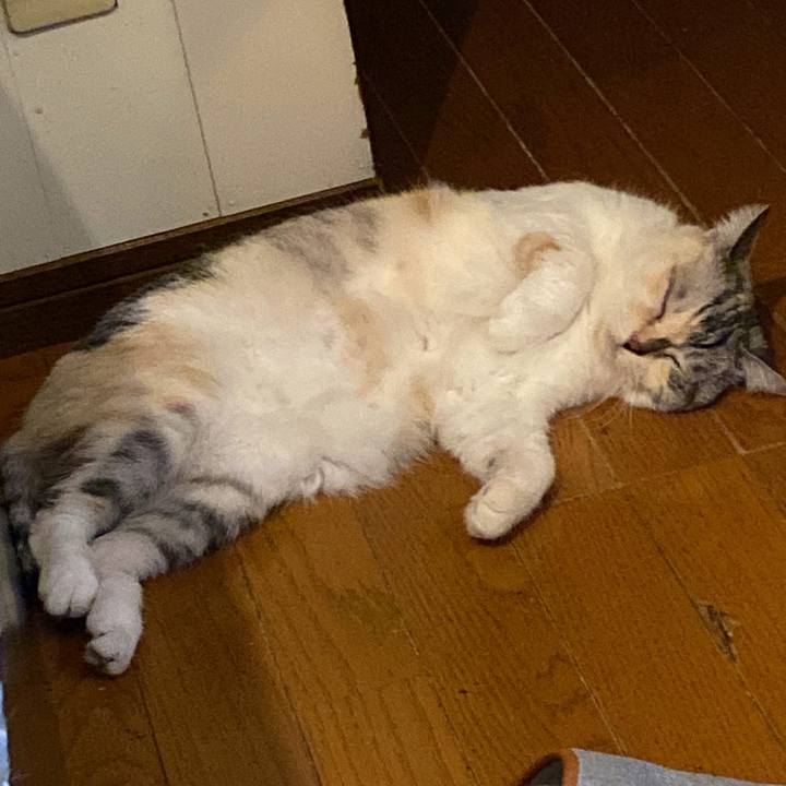 4c189bec cd83 4c34 a2fe 68fd488279ae 1661624774489