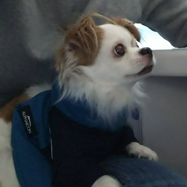 4c18d81b 99d2 43fe 925a d752ceabb099 1517119012698