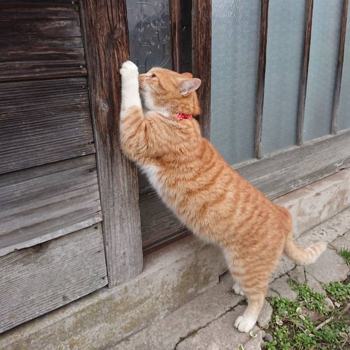 4c18e42b e328 4d5a 88ab cf55bd9be4e7 1576995050647