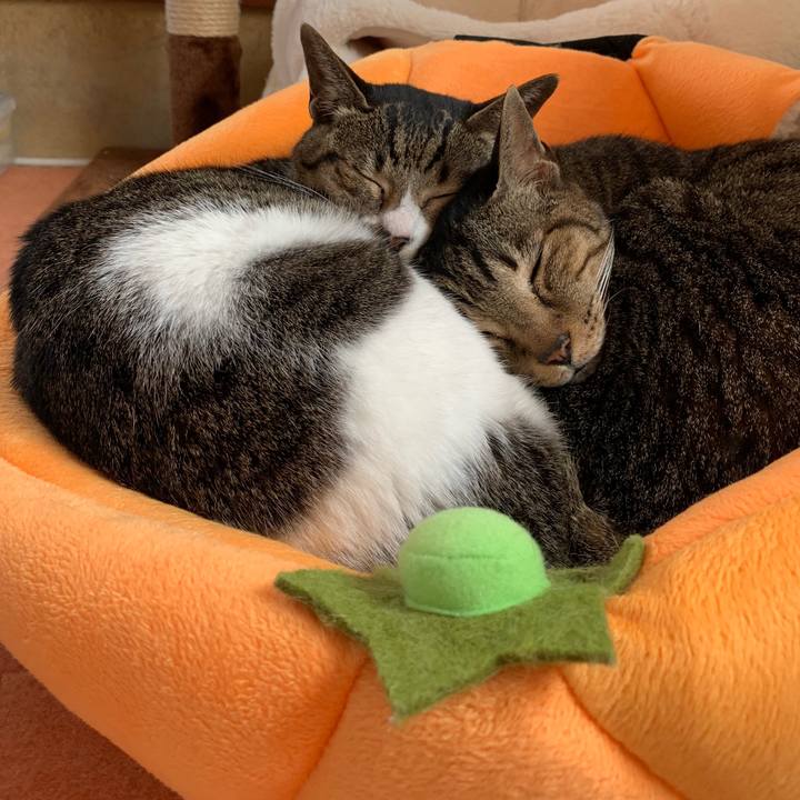 4c193d32 f4a8 4e3d 9493 6a3c0dc7a530 1548982424098