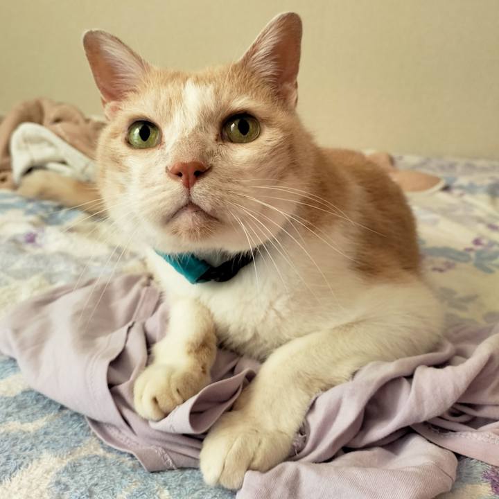 4c195c5d a9d4 4d18 b244 c79ab16d04e4 1664489100215