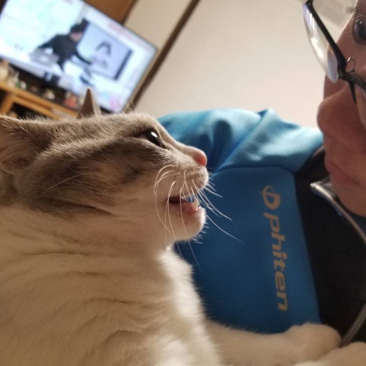 4c196c40 a4db 49dc 8330 1c5320600bb9 1674209649681