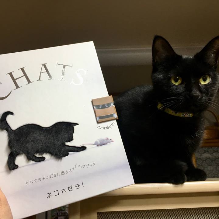 4c196e0f eb83 45ff 868b bbcbd5d8a468 1521547229469